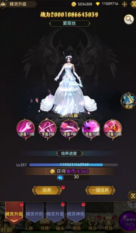 幻灵战歌之奇迹（买断版）——火爆开启-不摇游戏网